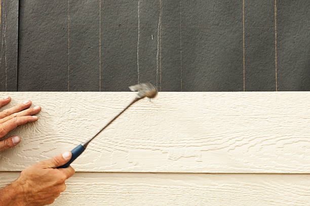Best Brick Veneer Siding  in Grand Rapids, MN